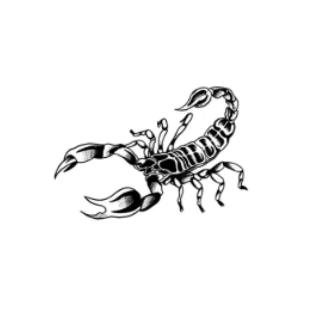Scorpion