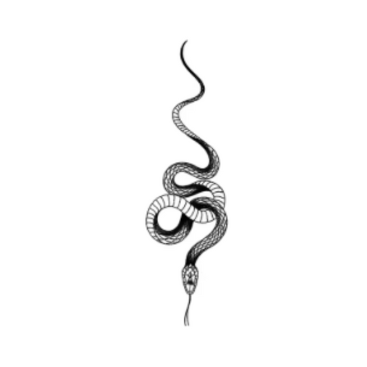 Serpent noir